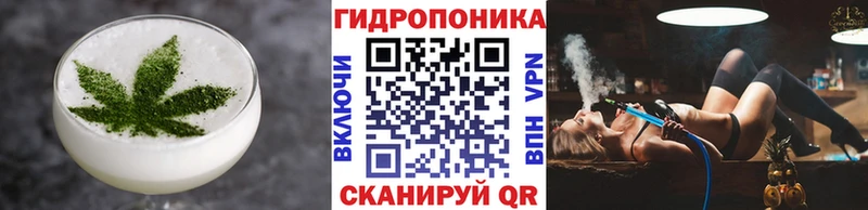 Купить закладки  Полесск  Cannafood конопля 
