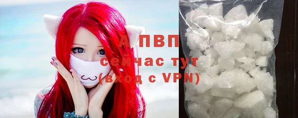 СК Кукмор