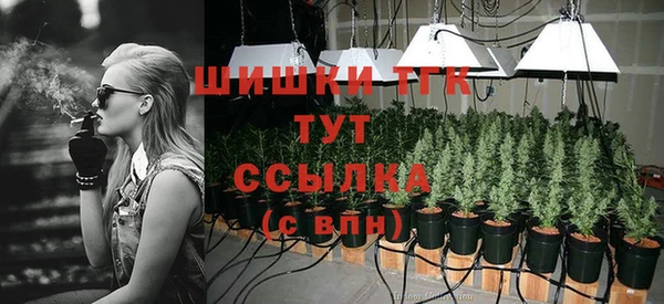 СК Кукмор