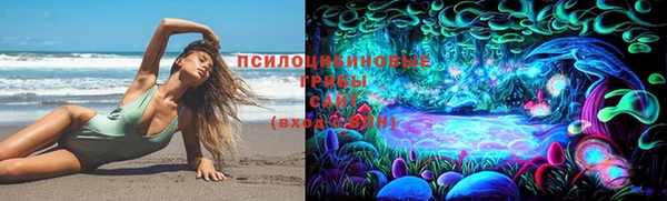 СК Красноперекопск