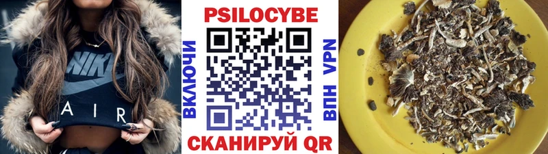 Купить закладки  Полесск  Псилоцибиновые грибы Psilocybe 
